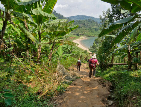 RWANDA, safari et randonn&eacute;e au c&oelig;ur de l'Afrique.
2 jours de randonn&eacute;es sur le Sentier du Congo - Nil (rencontre avec la population, travers&eacute;e du Nil, ...)