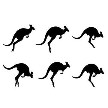 Kangaroo silhouette vector collection, set of 6 jumping kangaroo icons, Australian wildlife marsupial shapes for nature and travel design