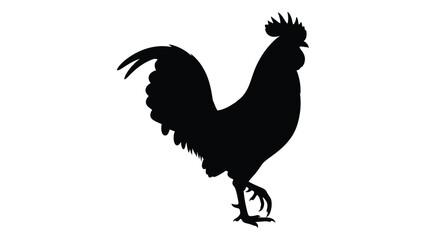 A black silhouette of a rooster standing on one leg © SILHUETTECHEMBER