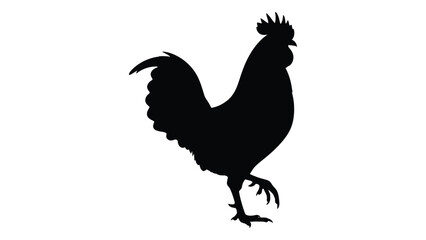 A black silhouette of a rooster standing on one leg © SILHUETTECHEMBER