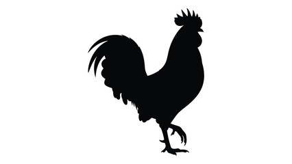 A black silhouette of a rooster standing on one leg © SILHUETTECHEMBER