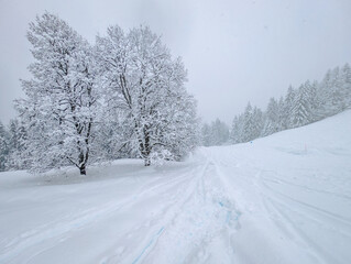 Obraz premium Cordon Ski Slopes Winter Alpine Landscape