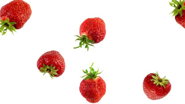 A dynamic video showcasing multiple ripe, red strawberries with green stems, floating and tumbling against a clean white background, creating a fresh and vibrant visual.