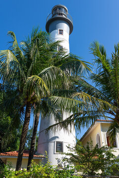 Lighthouse in a tropical setting with palm trees under a clear blue sky on dng au c