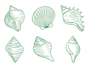 Set of Six Seashell Line Drawings on White Background