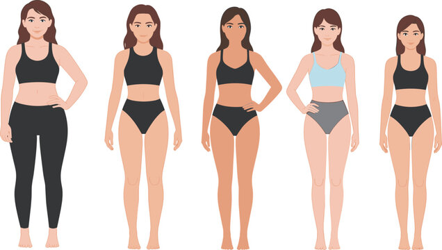 Women, body, shape, types, female, figure, diversity, anatomy, comparison, healthy, lifestyle, vector &ndash; flat vector