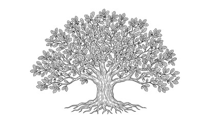 Single large oak tree vector illustration with detailed leaves and roots on white background © Nirob