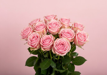 Beautiful bouquet of fresh pink roses on pink background