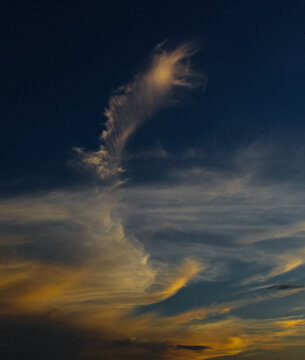 Feather like cloud during evening with orange white colored shade.