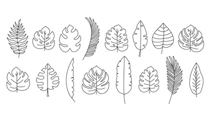 Leaves minimalist hand drawn line art set featuring monstera, fern, and palm fronds on white background. © MissBeauty