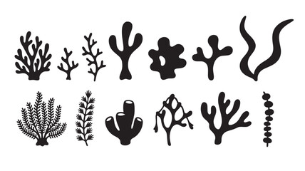 Corals and seaweeds icons with organic shapes and a minimalist silhouette style on a white background. © MissBeauty
