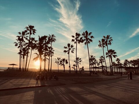 Golden Hour Along The Venice Beach Boardwalk