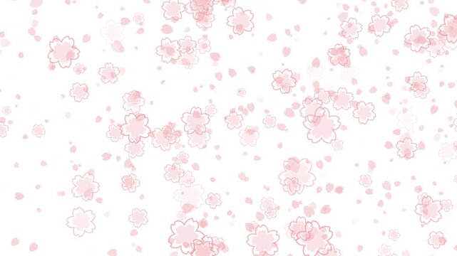 桜 花びら 小 枠あり 回転 下降 パターン01 桜色 ループ（白背景）