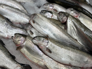 Fototapeta premium Raw whole rainbow trout with a head, chilled on shallow ice at the seafood market. An open shelf at the fish market. Close-up