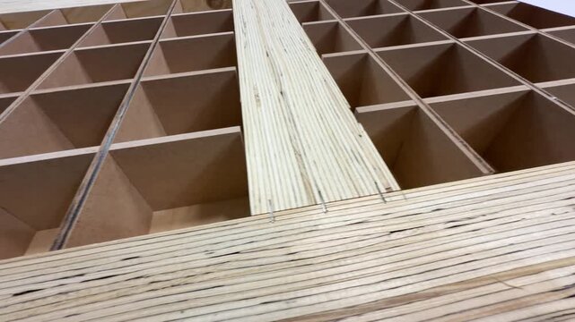 carpentry parts for the manufacture of doors, internal filling of the panel to provide structural rigidity. door structure. vestibule