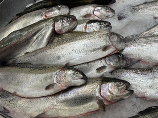 Fototapeta premium Raw whole rainbow trout with a head, chilled on shallow ice at the seafood market. An open shelf at the fish market. Close-up
