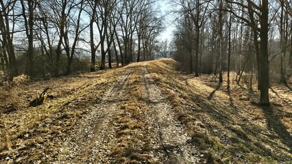 Słoneczny, wiosenny dzień  © WalDec