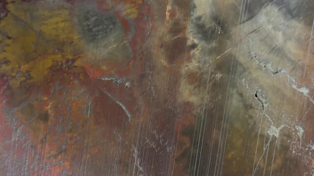 ancient fossilized algae in close-up. ancient vegetation of the planet.