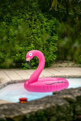 Large pink flamingo pool float in a villa or resort swimming pool with green shrubs in the background. © Val