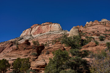 Fototapeta premium National Zion Park, Utah, USA - October 21, 2025 - Hiking trail winding through a narrow canyon with towering sandstone cliffs and lush green trees