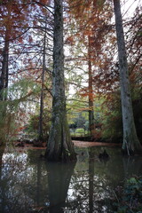 Beautiful lake and forest view in Ataturk Arboretum, Istanbul, Turkey.