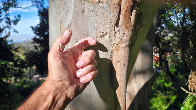 Knock On Wood