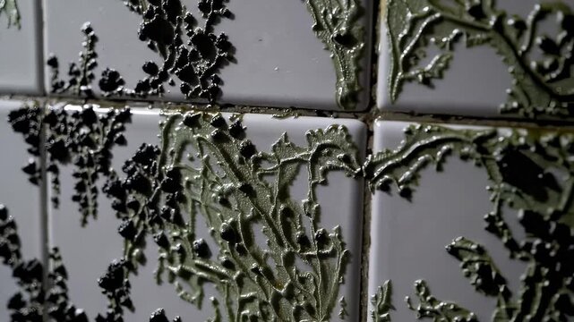 A macro shot shows a narrow gap between two glossy white panels, where a speckled, mold-stained sealant line runs along the edge; shallow depth of field highlights texture, wear, and grime.