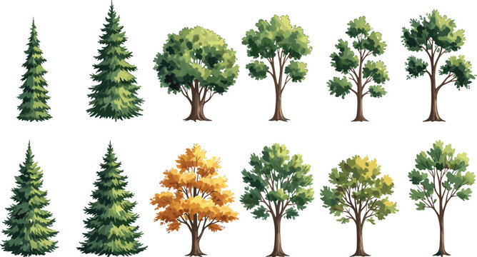 Curved Tree Branch Images – Browse 124,730 Stock Photos, Vectors, and ...