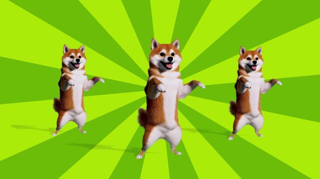 A fun 3D animation of Shiba Inu dogs standing on their hind legs and dancing against a dynamic sunburst pattern. Ideal for energetic social media content and pet-themed memes.
