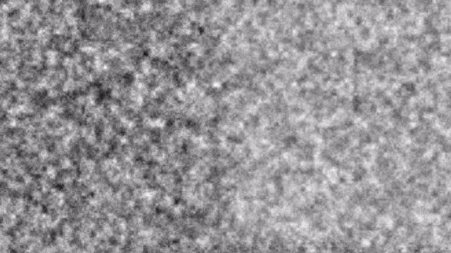 Exploring a 4K Glitch-Infused Alpha Channel speckled surface texture in black-and-white view of a rough gray plane, captured from a top view