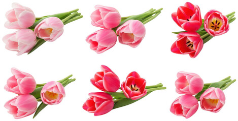 pink tulips png spring tulip flowers png tulip bouquet png transparent background image