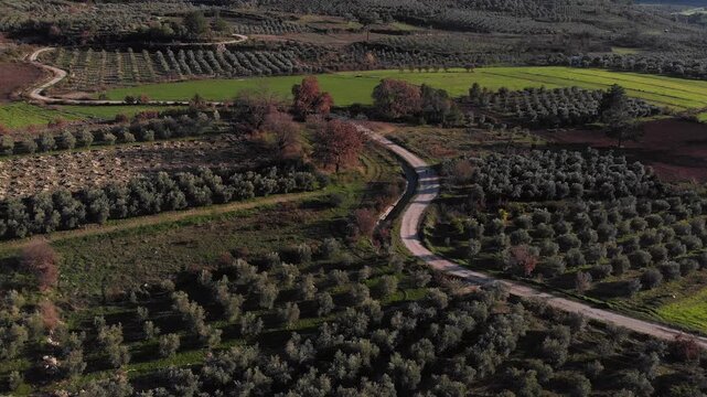 Drone slowly flying over  Telmessos Ancient City ruins nestled in a lush green mountain forest in Turkey, ab01
