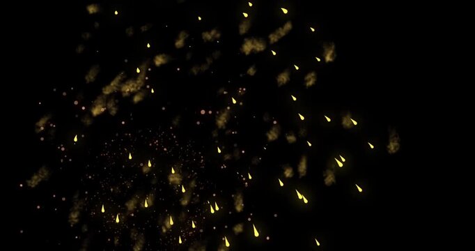 fireworks in the night sky