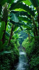 Lush, verdant foliage frames a tranquil stream in this atmospheric tropical scene. The dense canopy of banana leaves casts a rich green glow, illuminated by soft light filtering through the rain. This