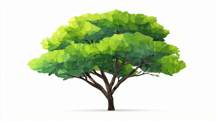 Fototapeta premium Low poly art style tree with lush green leaves isolated