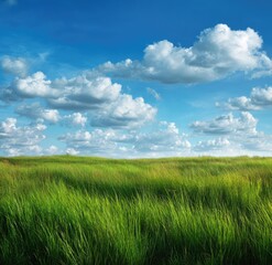 Fototapeta premium Vibrant Green Grass Field Under a Bright Blue Sky with Fluffy White Clouds on a Sunny Day.