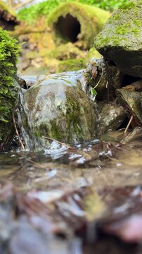 Fliessendes Gew&auml;sser im Wald