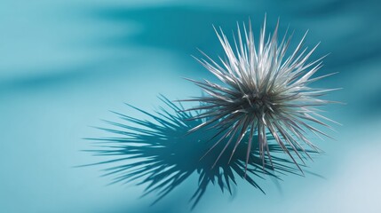 Naklejka premium Microscopic Spiky Microbe Casting a Shadow on Minimal Gradient Background During Laboratory Observation