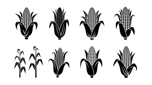 set of black silhouette corn and maize icons simple flat vector illustration.