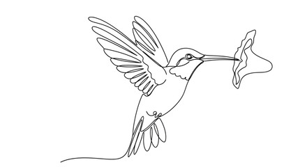 Obraz premium Hummingbird feeding from a flower in a single line drawing style.