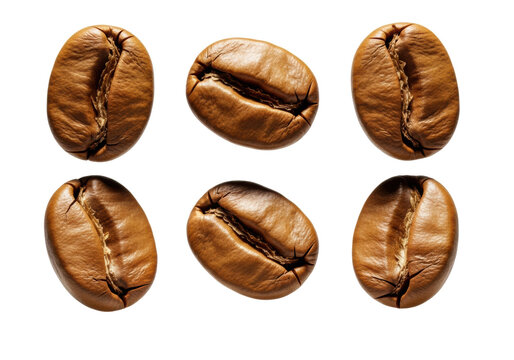 ultra macro of six uniform, light golden arabica beans floating in a 3x2 grid against a transparent studio background. concept of premium quality luxury