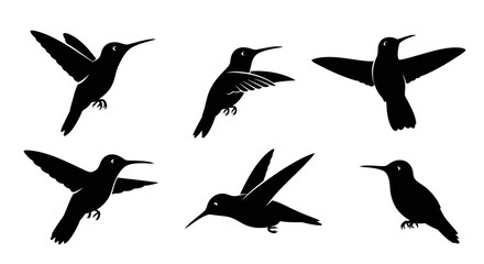 Obraz premium Hummingbird Silhouettes Collection: Six Diverse Poses of Flying and Perching Birds