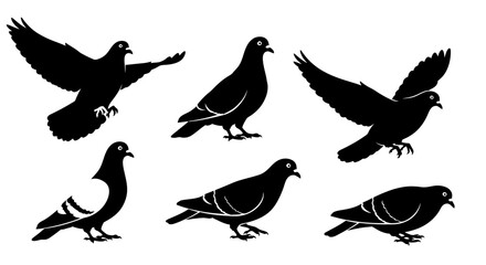 Fototapeta premium Pigeon Silhouettes: Diverse Poses of Flying and Standing Birds