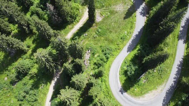 Combe &agrave; floret