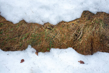 Przedwiośnie © Grzegorz Polak