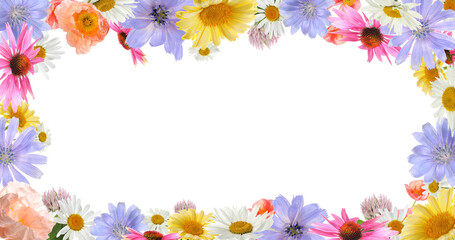 Frame of colorful flowers on white background. Banner design with space for text