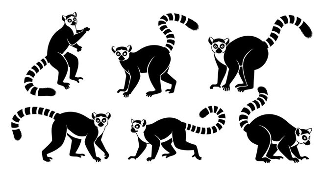 Set of Black and White Lemur Silhouettes in Various Poses on White Background