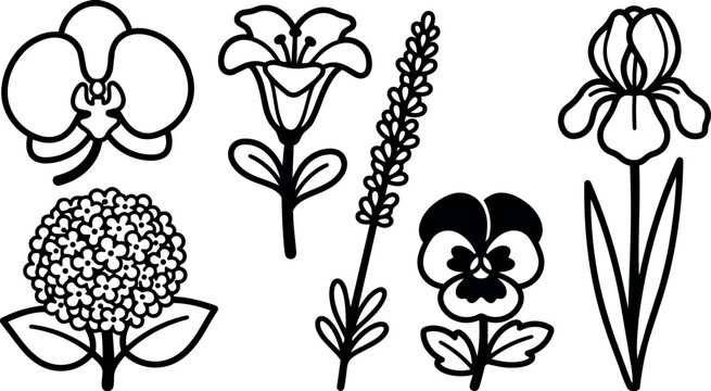 Line art botanical icon set six floral outlines orchid lily hydrangea lavender pansy iris close up white background minimal icons isolated