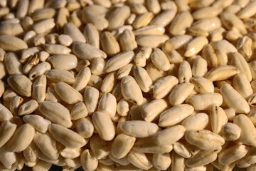 Fototapeta premium A heap of peeled barley grains a natural food source for healthy diet and agricultural production