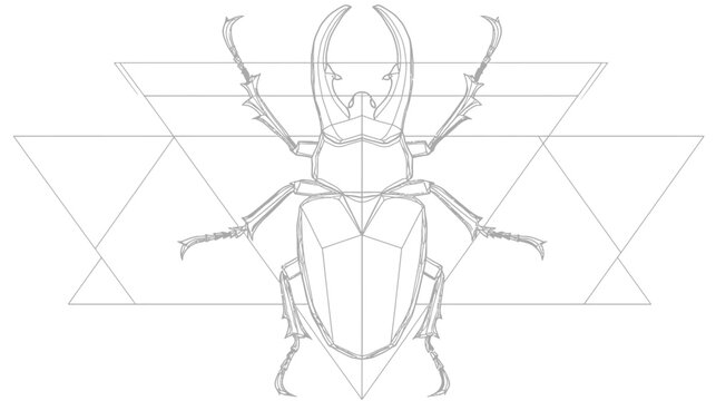 A geometric illustration featuring a symmetrical stag beetle outlined in grey lines